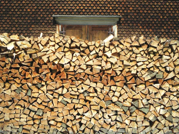 Drewno Kłód Drzew Pień Drewna Opałowego — Zdjęcie stockowe