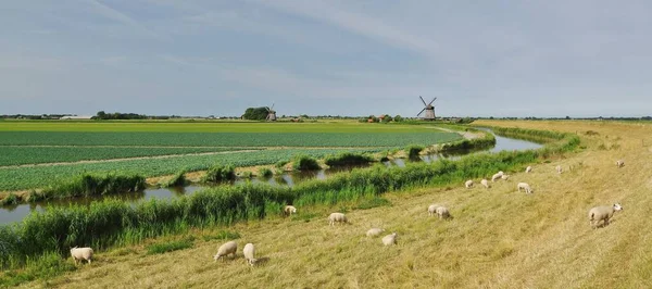 靠近荷兰北部Alkmaar Schermer Molencomplex 的磨坊景观 — 图库照片