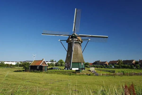 Windmill Kat 1842 Uitgeest North Holland Province North Lower Netherlands — 图库照片