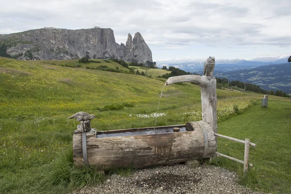 Alpe Siusi Dans Tyrol Sud — Photo