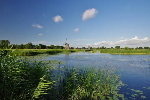 Młyn Krajobraz Wodny Alkmaar Północna Holandia — Zdjęcie stockowe