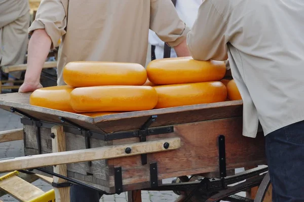 Cheese Market Alkmaar North Holland — Stock Photo, Image