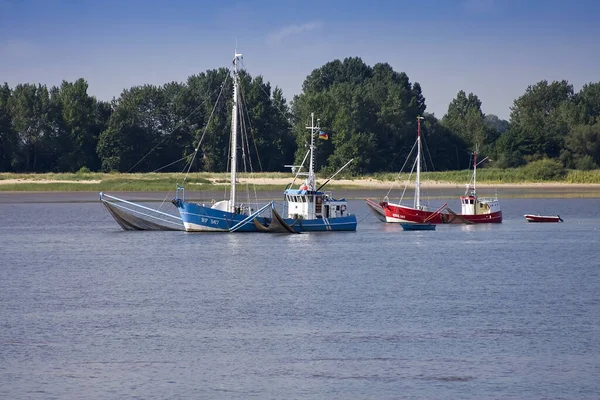 Krabbenfrees Aan Elbe Nabij Hamburg Duitsland Europa — Stockfoto