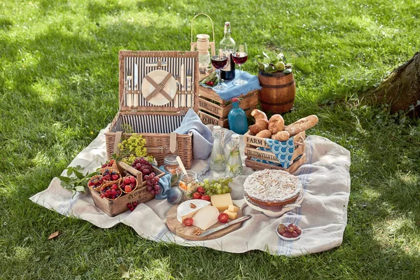 Delicioso Picnic Esparcido Parque Con Una Amplia Selección Diferentes Alimentos — Foto de Stock