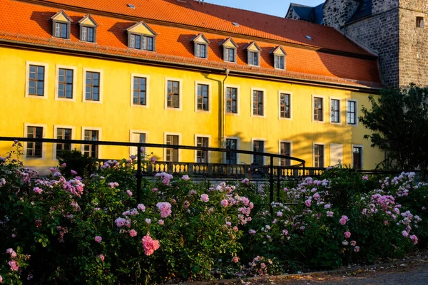 Ballenstedt Harz Bilder Vom Schloss — Stockfoto