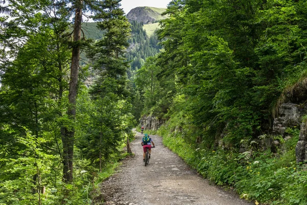 Dağ Bisikleti Binsalm — Stok fotoğraf