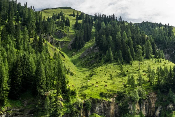 Granja Alpina Tirol — Foto de Stock