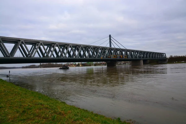 Hochwasser Rhein Januar 2018 — Stockfoto