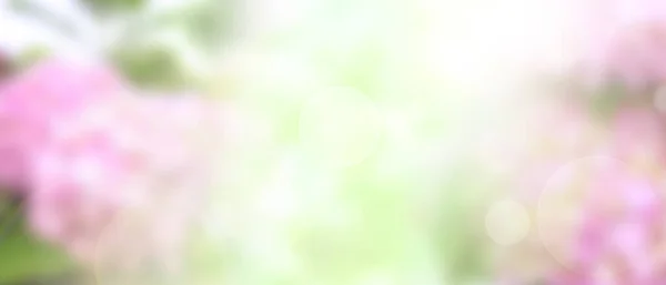 Размытый Розовый Цветочный Фон Летнем Боке Боке Свадьбы — стоковое фото
