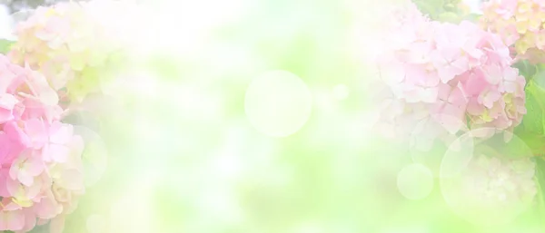 Нежный Розовый Басом Фон Летом Боке Свадьбы — стоковое фото