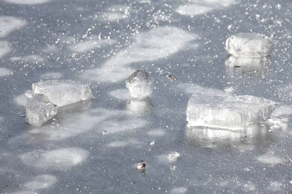 Κομμάτια Πάγου Επιφάνεια Πάγου Μια Παγωμένη Λίμνη — Φωτογραφία Αρχείου