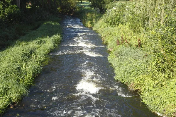 Río Agua Llamas Orilla Verde —  Fotos de Stock