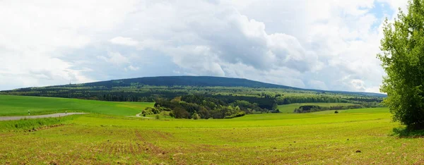 Panorama Forestal Idílico Del Norte —  Fotos de Stock