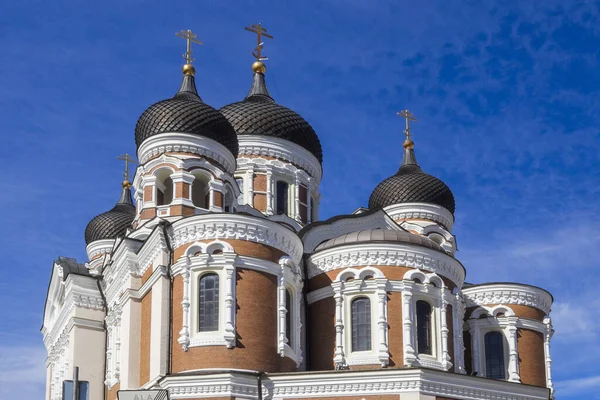 Estonia Alekszandr Nevsky Katedrális Tallinn — Stock Fotó