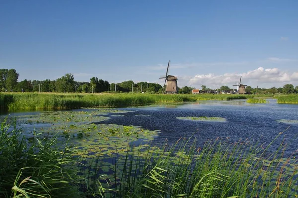 Molen Waterlandschap Alkmaar Noord Holland — Stockfoto