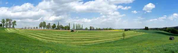 Panoráma Traktor Zöld Élelmiszer Betakarítása Közben Egy Mezőn Tavasszal — Stock Fotó