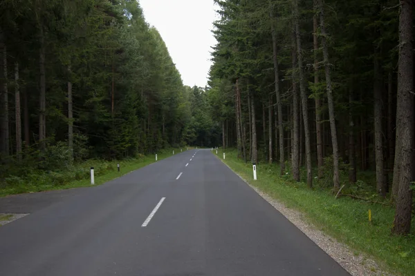 Camino Asfaltado Vacío Través Una Zona Forestal Verano Por Día —  Fotos de Stock