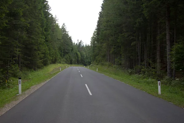 Пустая Асфальтированная Дорога Через Лесной Массив Летом Днем — стоковое фото