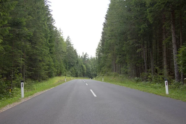 Camino Asfaltado Vacío Través Una Zona Forestal Verano Por Día —  Fotos de Stock