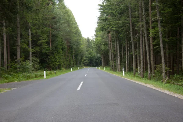 Empty Asphalt Road Forest Area Summer Day — Stock Photo, Image