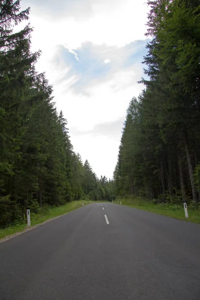 夏になると空のアスファルト道路が森林地帯を通って — ストック写真