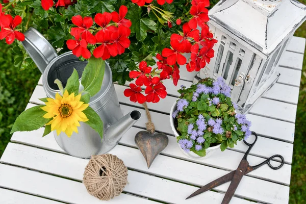 Decoración Del Jardín Con Geranios Rojos Una Herramienta Regadera Desde — Foto de Stock