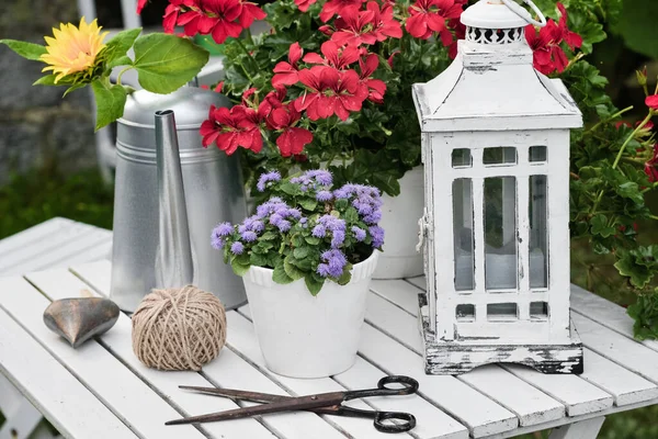 Garden Decoration Red Geraniums Watering Can Tool — Stock Photo, Image