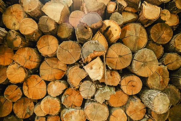 Drewno Tło Kupie Drewno Ścięte Drzewo Jako Naturalne Tło — Zdjęcie stockowe