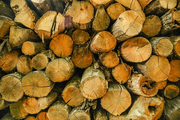 Ξύλινα Κούτσουρα Φόντο Σωρό Από Ξύλο Κομμένο Δέντρο Αφηρημένη Φυσικό — Φωτογραφία Αρχείου
