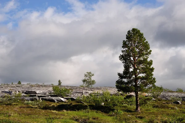Krajobrazy Skandynawii — Zdjęcie stockowe