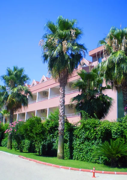 Kemer Deki Otellerden Birinin Manzarası Palmiye Ağaçları Bitkilerin Gölgesi Altında — Stok fotoğraf