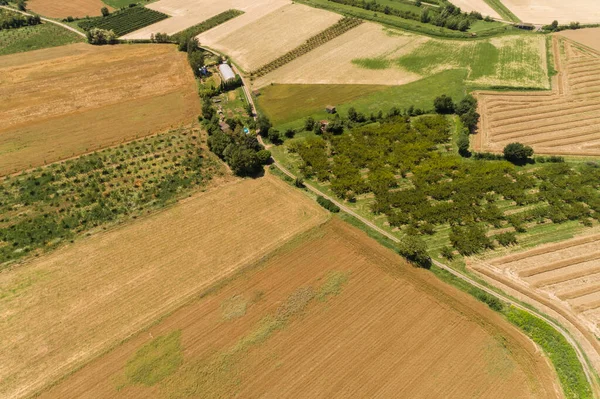 Huertos Paisaje — Foto de Stock