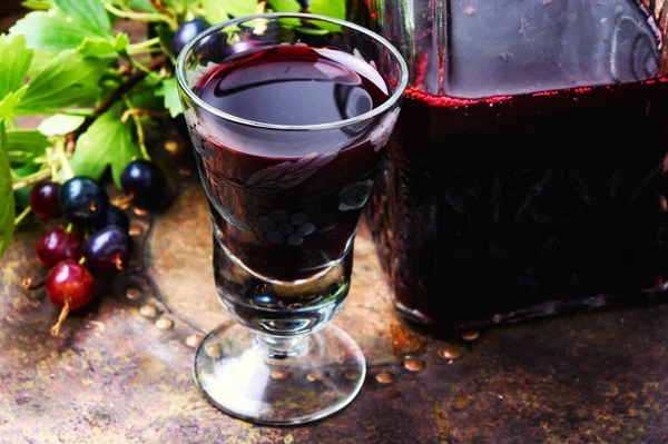 Bicchiere Con Liquore Fatto Casa Dal Ribes Nero — Foto Stock