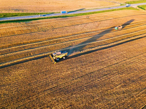 Harvester Machine Working Field Combine Machine Harvesting Agriculture Golden Ripe — ストック写真