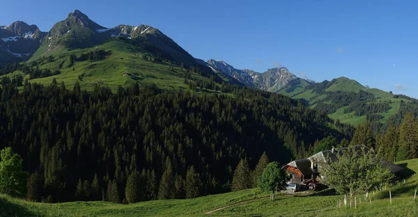 Prados Florestas Montanhas Alpinas Gantrisch Geniet Bernese Oberland Suíça — Fotografia de Stock