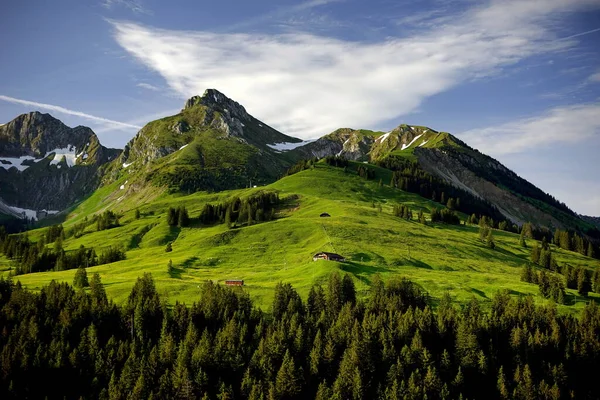 Alpesi Rétek Tavasszal Ragyognak Reggeli Napsütésben Rögzítve Svájci Bernese Oberland — Stock Fotó