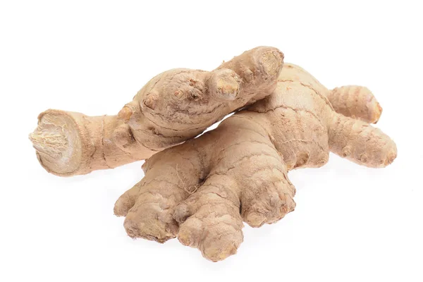 Fresh Ginger Roots Isolated White Background — Stok fotoğraf