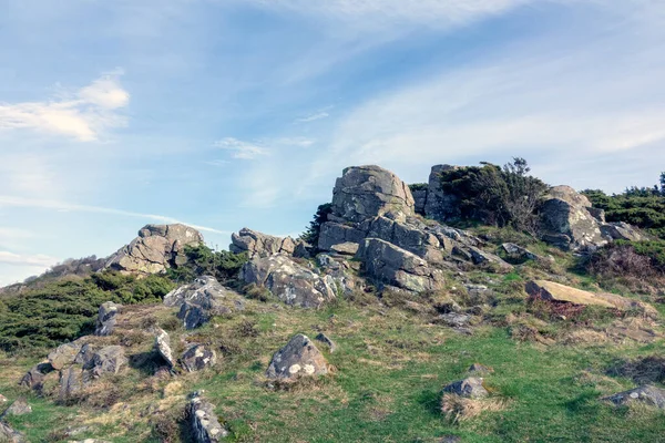 Hovs Hallar Una Reserva Natural Una Zona Costera Sur Suecia — Foto de Stock