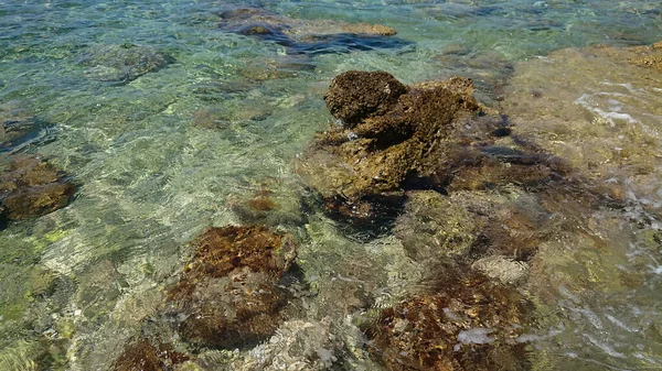 Hırvatistan Istria Kentinde Rocky Plajı Mavi Transseksüel Deniz — Stok fotoğraf