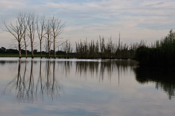 Idyllically Beautiful Summer Evening River Oste Here You Find Rest — Stok fotoğraf