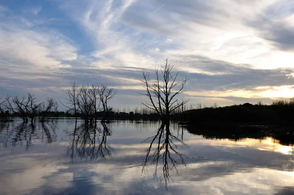 Idyllically Beautiful Summer Evening River Oste Here You Find Rest — 스톡 사진