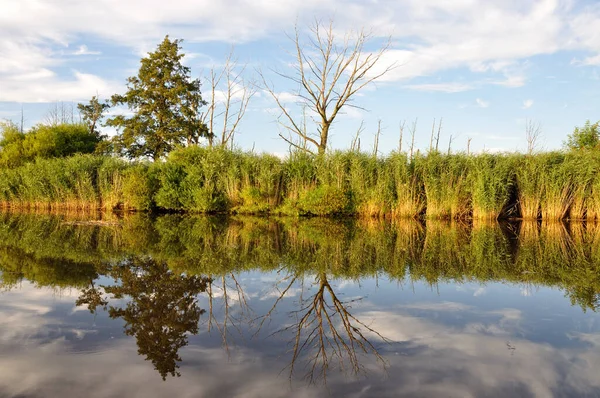 Sommer Der Oste Hier Finden Sie Ruhe Frieden Und Erholung — Stockfoto