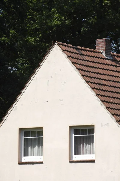 Vivienda Con Techo Plantas Verdes —  Fotos de Stock