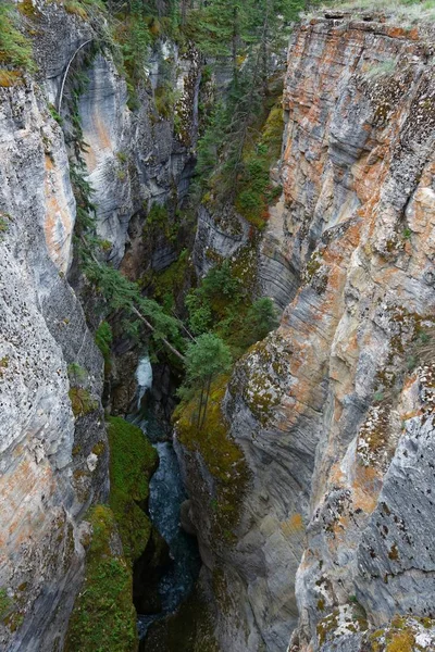 Peisaj Natura Canionului Formarea Geologiei — Fotografie, imagine de stoc