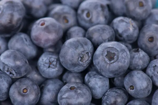 Fresh Blueberries Isolated White Background — Stock Photo, Image