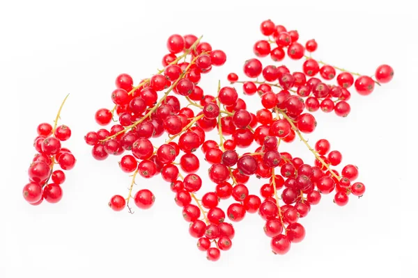 Fresh Red Currants Isolated White Background — Stock Photo, Image