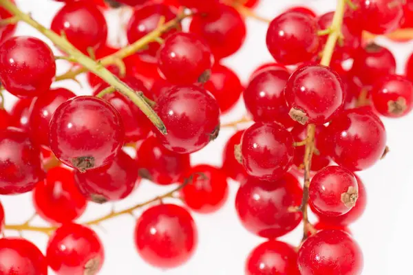 Fresh Red Currants Isolated White Background — Stock Photo, Image