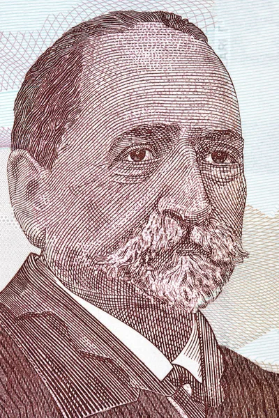 Портрет Ілії Чавчавадзе Грузинських Грошей — стокове фото