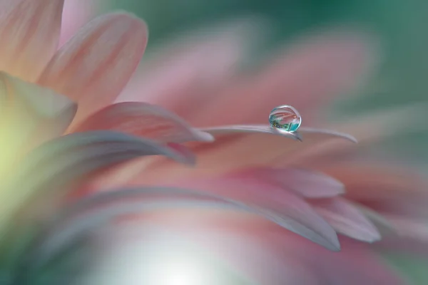 Vackra Makro Skott Magiska Blommor Gränskonst Magiskt Ljus Extrem Närbild — Stockfoto