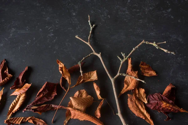 Herfst Decoratie Met Gebladerte Zwarte Steen Voor Een Achtergrond — Stockfoto